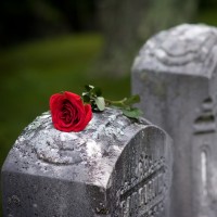Rose-on-grave-200x200