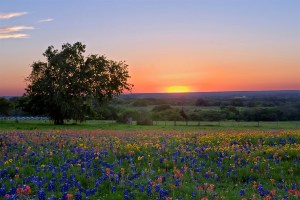 River-Meadow_Sunset_1200x800