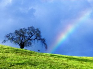rainbow-blue-sky-nature